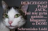 Obrazek