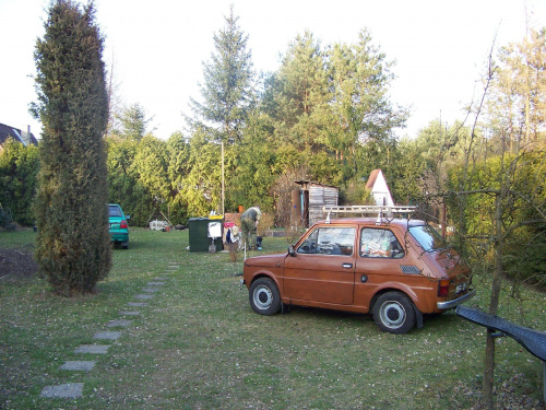 1983 Fiat 126  Classic Driver Market