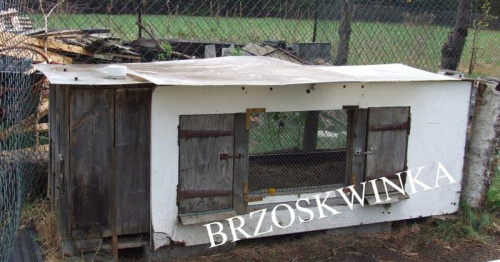 Obrazek