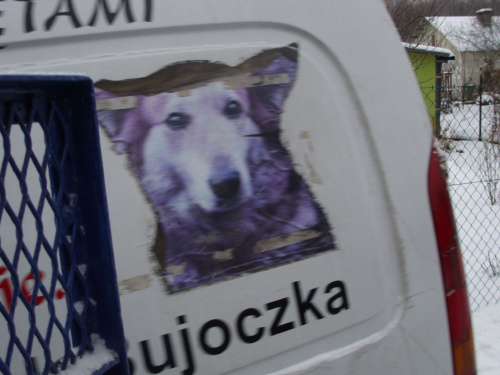 Obrazek