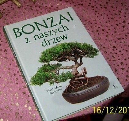 Obrazek