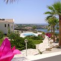 Cypr,Pafos,domy nad morzem #dom #palma #cypr #morze #kwiaty