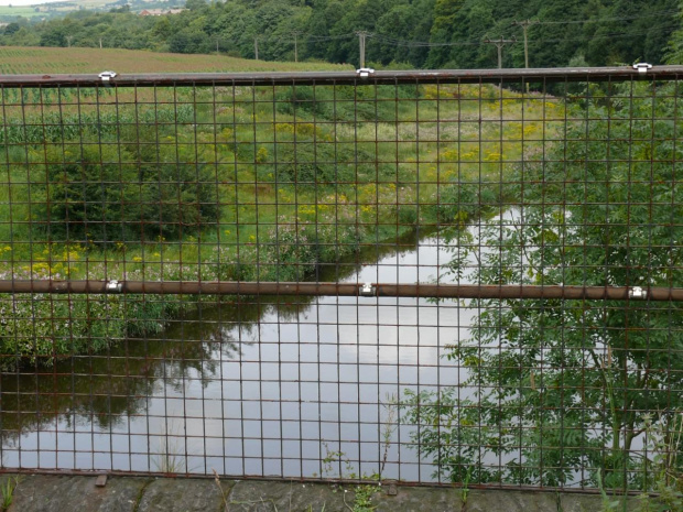 #burrs #CountryPark