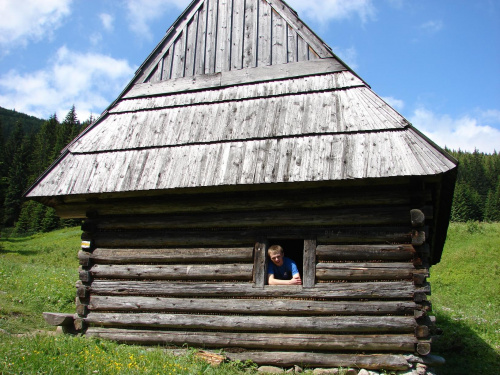 gdzieś na szlaku nosal => rusionowa polana #tatry #NosalRusinowaPolana