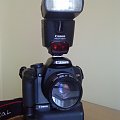 450D + 430 EX II + Grip BG-E5 + 50 mm f/1.8 mk I (: