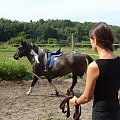 #konie #koń #lonża #lonżowanie #klacz #hucuł #huculska #kobyła