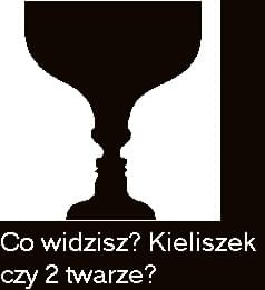 złudzenia