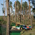 Talary i najbliższe okolice