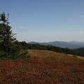 #Bieszczady