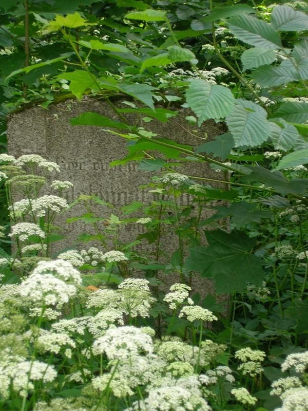 Ostróda (warmińsko-mazurskie) - cmentarz Polska Górka