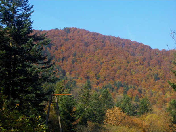 Dołżyca #Bieszczady #jesień