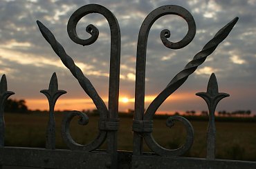 #zachód #słońca #kwaiaty #róże