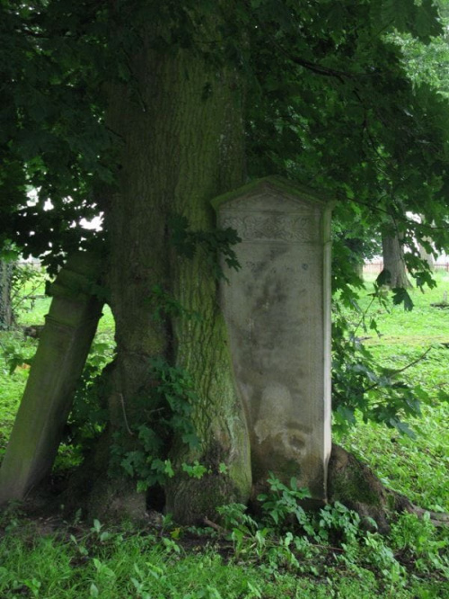 Fiszewo (warmińsko-mazurskie) - cmentarz mennonicki