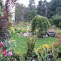 2008 koniec lata