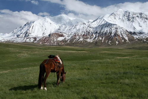 Esencja Pamiru #góry #pamir #kirgistan