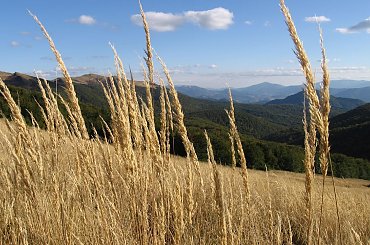Połoniny #Góry #Bieszczady #Rozsypaniec #Halicz #Tarnica