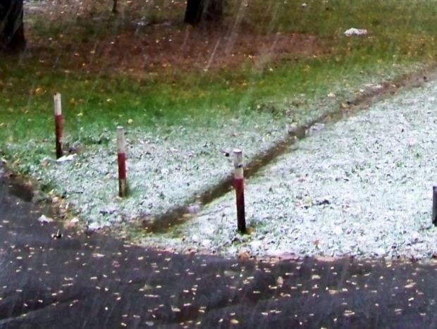 Pierwszy śnieg w Wawie