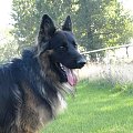 axel :)