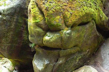 teplickie skalne miasto #sudety #DolnyŚląsk #góry #CudaNatury