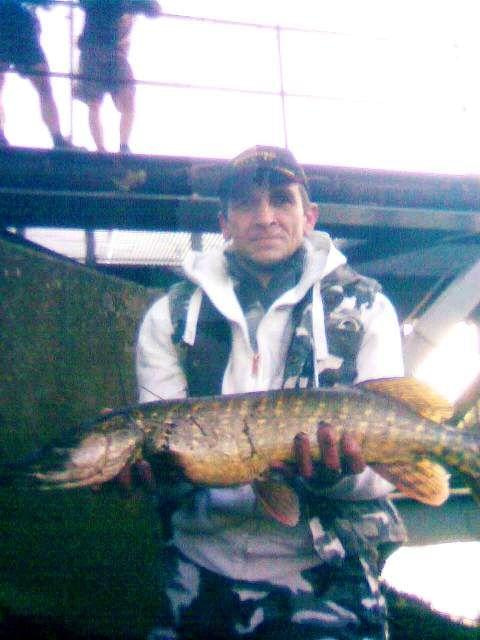 Pike