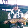 Pike