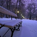 Zima wróciła do Wawy #Warszawa #OgródSaski #zima #śnieg #wieczór