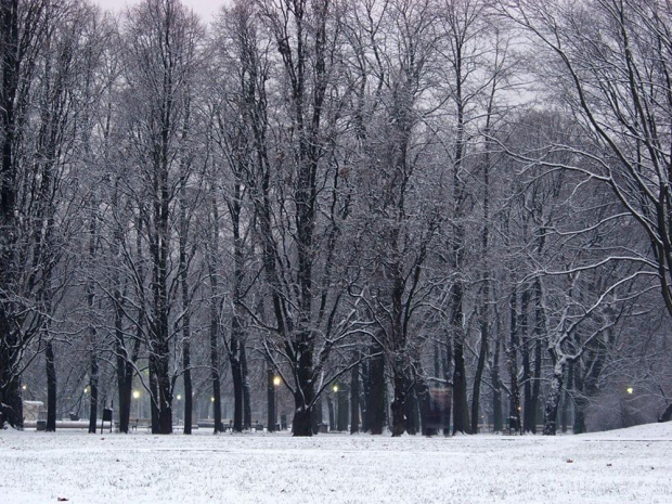 Zima wróciła do Wawy #Warszawa #OgródSaski #zima #śnieg #wieczór
