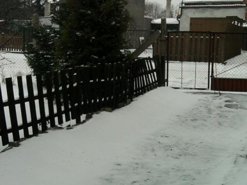 Znów spadł śnieg 10.01.2010