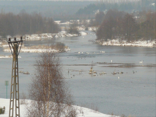 Zalew zimą