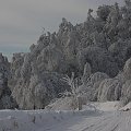 17.I.2010 Miękinia, piękna zima i gigantyczne mrozy.