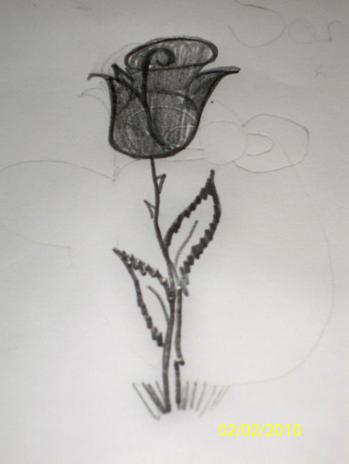 Róża narysowana przez Sandrę