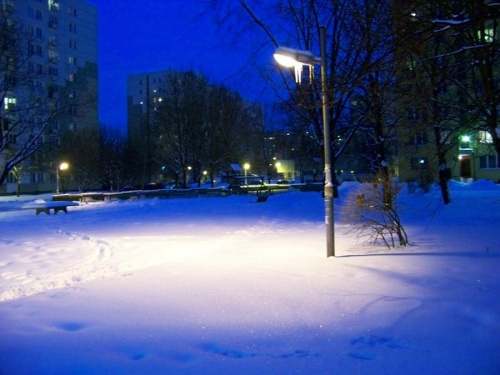 Hurra znów nasypało:) #Warszawa #zima #śnieg #ParkSkaryszewski #latarnia #światło