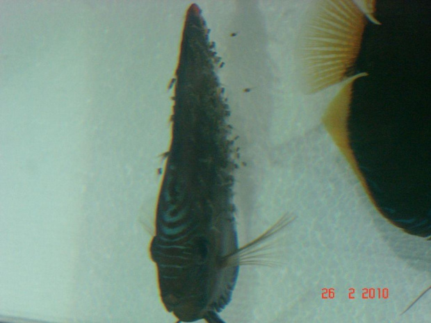 27.02.2010