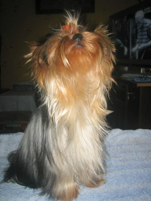 8 pażdziernika 2008