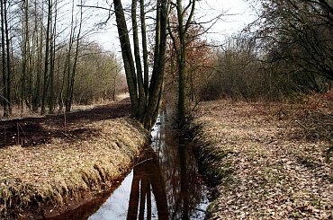 Spacer po parku ! part 1 #Spacer #park #wiosna #rzeczka #drzewa