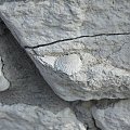 Skamieniałości widoczne w murze w centrum Wilkołaza. Takie muzeum za darmo w plenerze :) #Wilkołaz #skamieniałości
