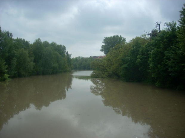 22 maja 2010, godzina 13:00, widok na Oławkę- nurt stoi w miejscu #Wrocław #powódź