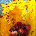 #liść #owoce #truskawki #maliny #jesień #pysznośći