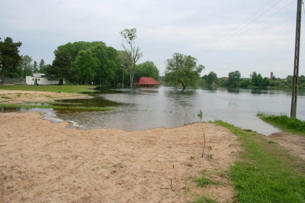 Wronki-Olszynki