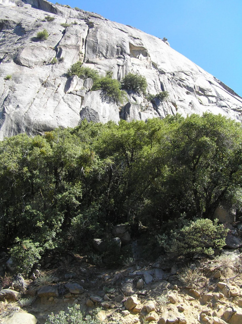 Park Yosemite