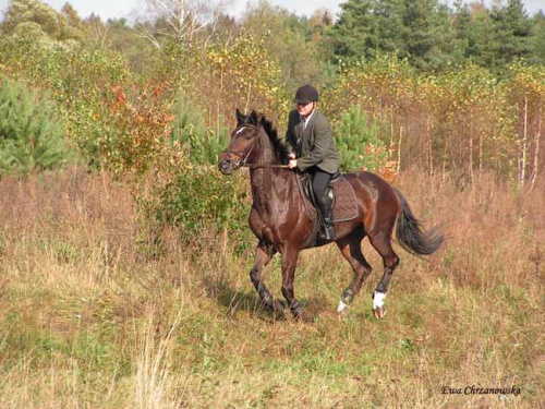 2008.10.18 Hubertus I