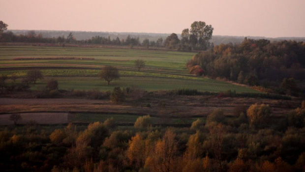 ...widok pól z ruin zamku w Kazimierzu...