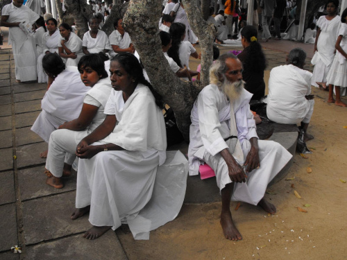 Sri Lanka pielgrzym w Kulatarze