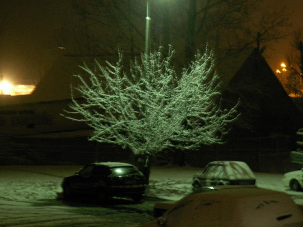 Pierwszy śnieg w tym sezonie #Wałbrzych