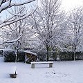 Zima 2008 - mój ogród #zima #listopad #ogród