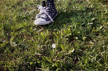 #natura #przyroda #strokrotka #trampki #trawa #zielone