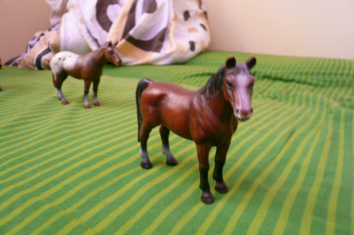 schleich collecta #schleich