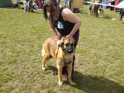 #leonberger #AptekaNatury