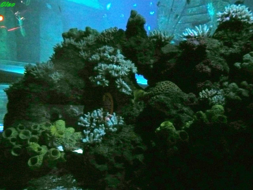 06.08.2008