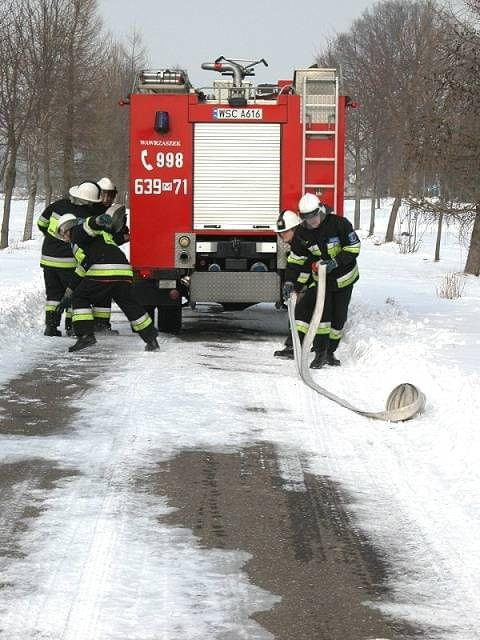 fot-BRAT MAREK GĄSIOROWSKI